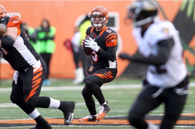 A.J. McCarron fue seleccionado el año pasado (Alabama) y ahora ha tenido que asumir de emergencia la titularidad de los Bengals.